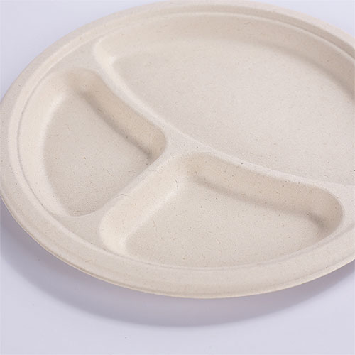 Wholesale Biodegradable Paper Plates